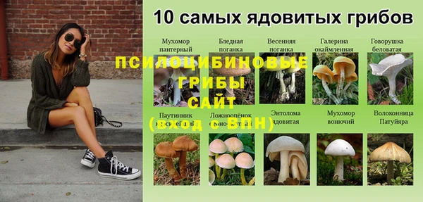 сатива Алексин