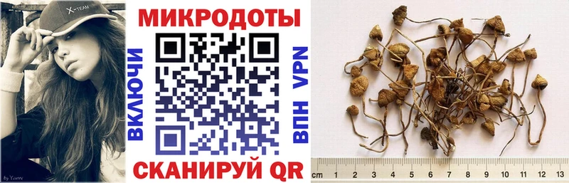 блэк спрут tor  Волгодонск  Псилоцибиновые грибы Psilocybe 