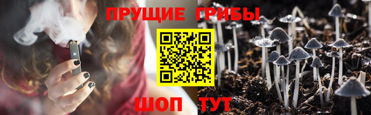 Галлюциногенные грибы Psilocybine cubensis  Галлюциногенные грибы Cubensis  Вход с VPN  Волгодонск 